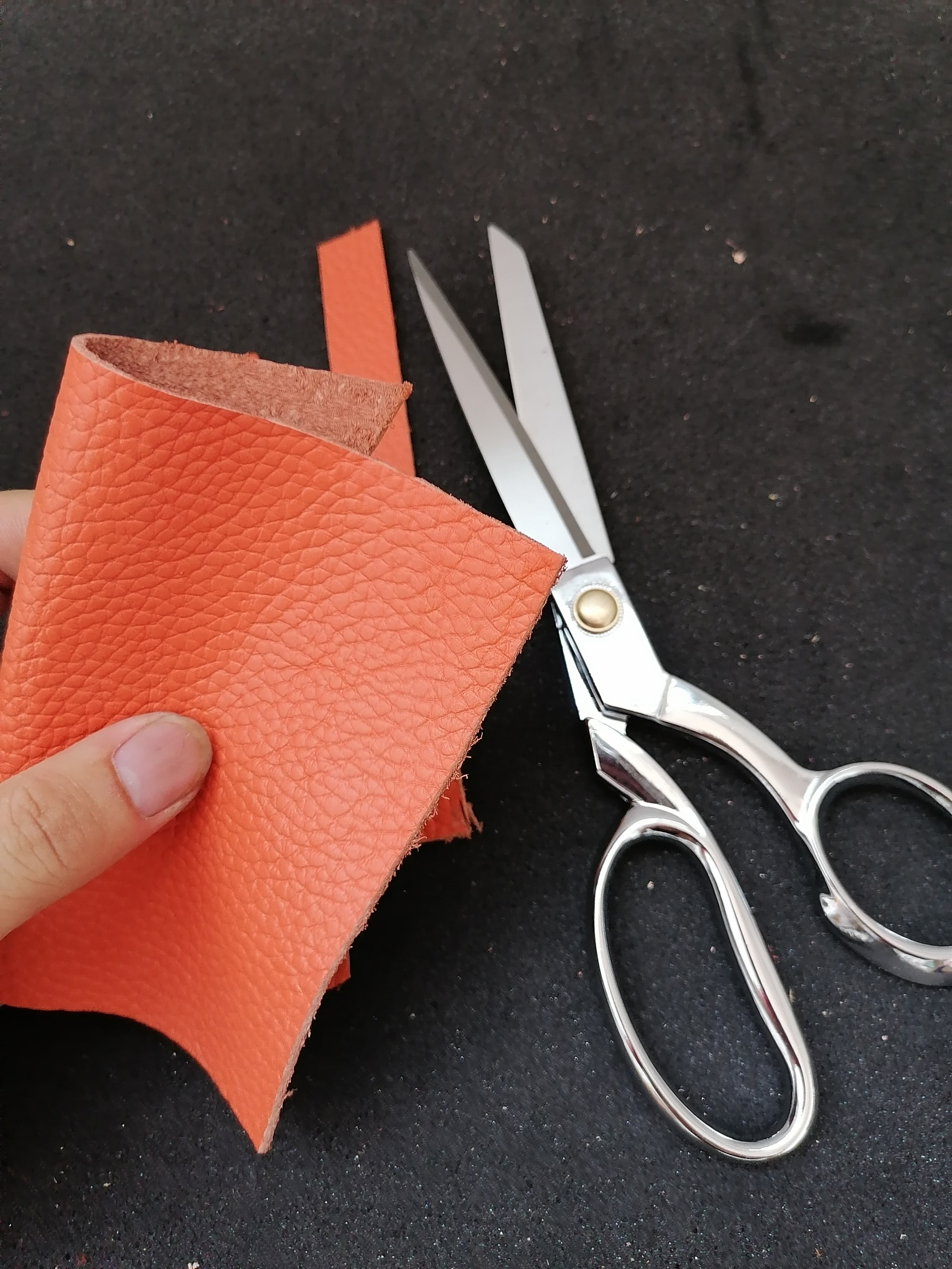Stainless steel leather shear