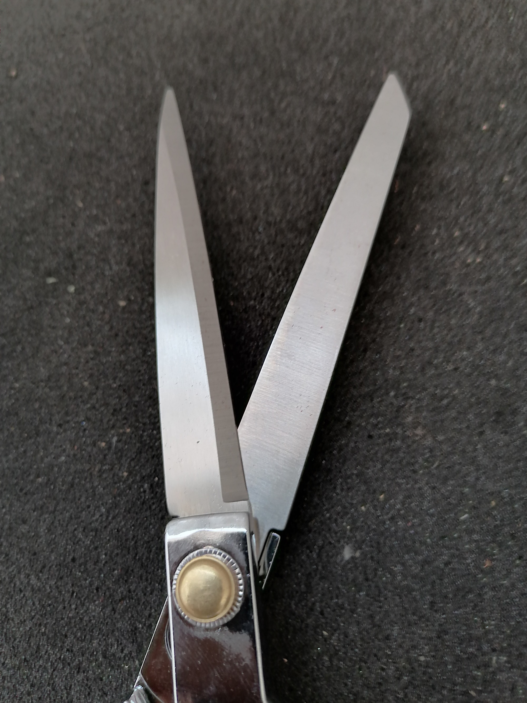 Stainless steel leather shear
